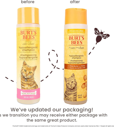 Cat Hypoallergenic Shampoo with Shea Butter & Honey | Moisturizing & Nourishing Cat Shampoo | Cruelty, Sulfate & Paraben Free, Ph Balanced for Cats - Made in USA, 10 Oz - 2 Pack