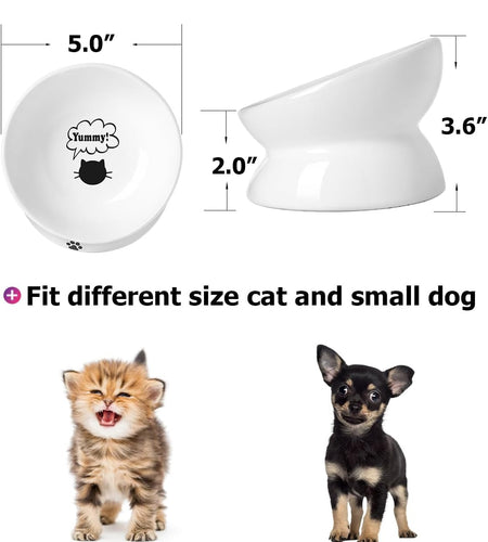 Cat Bowl anti Vomiting, Raised Cat Food Bowls, Tilted Elevated Cat Bowl, Ceramic Pet Food Bowl for Flat Faced Cats, Small Dogs, Protect Pet'S Spine, Dishwasher Safe